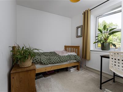 Picture 30